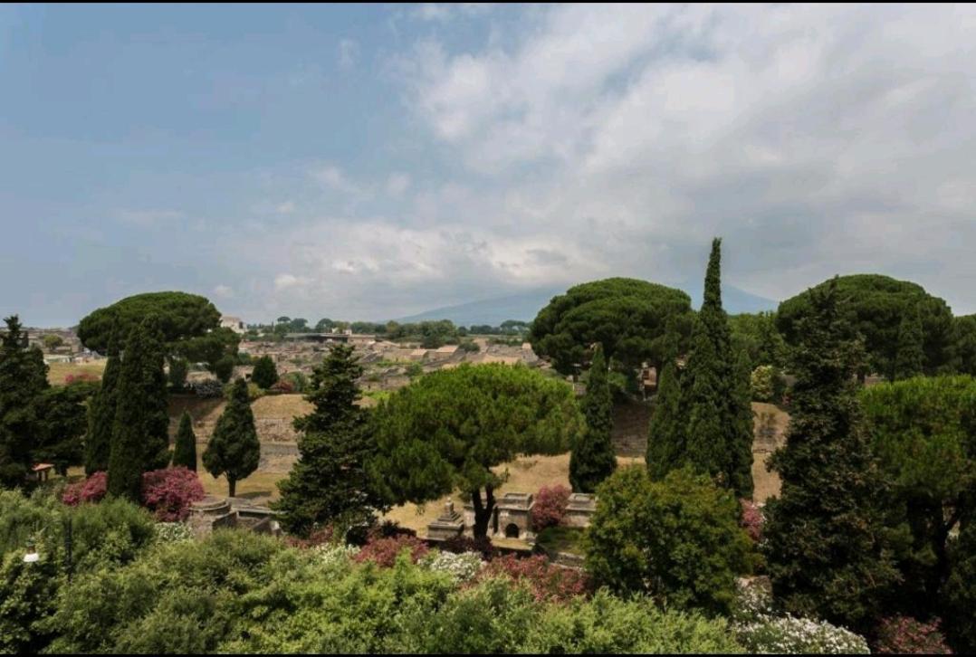 B&B Vesuvio Ruins Pompeii Eksteriør bilde