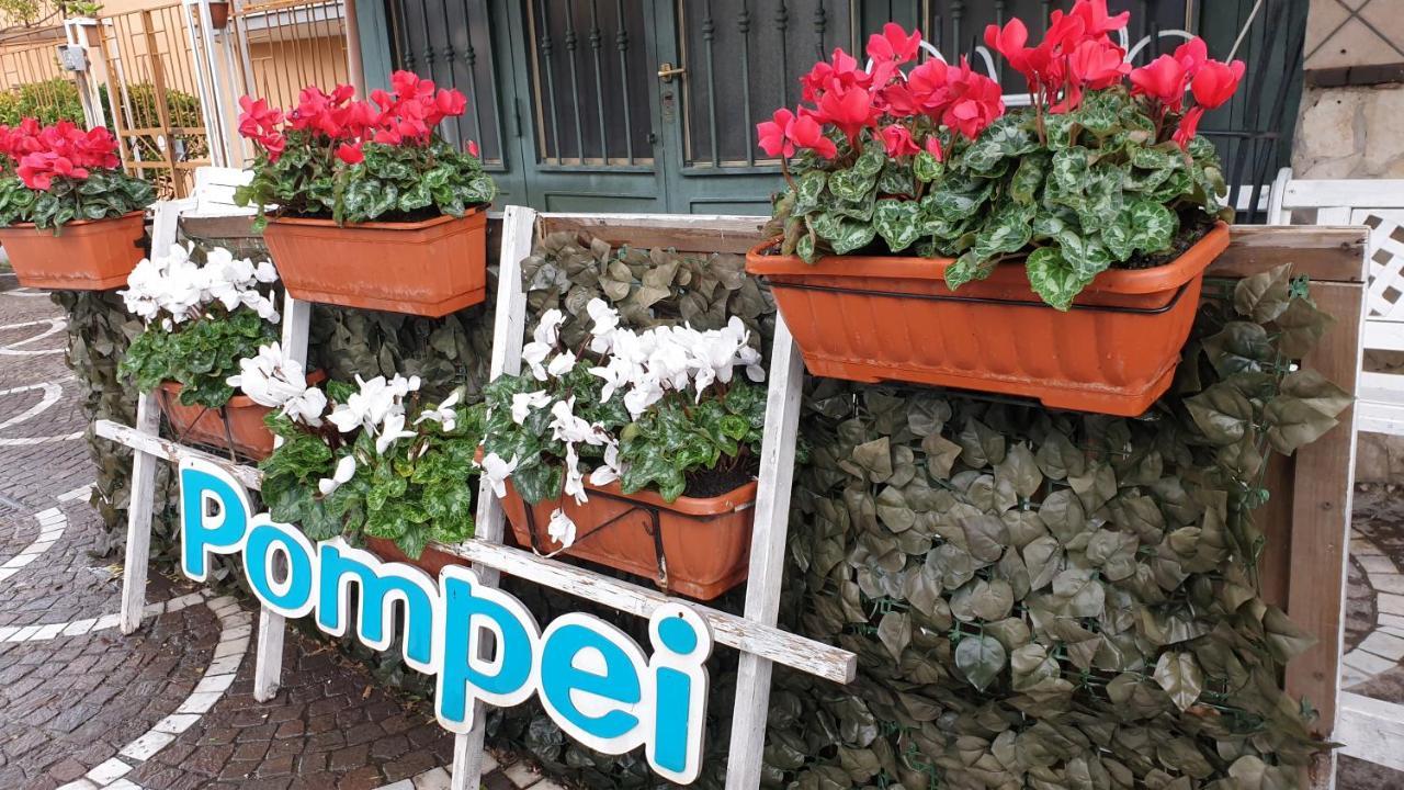 B&B Vesuvio Ruins Pompeii Eksteriør bilde